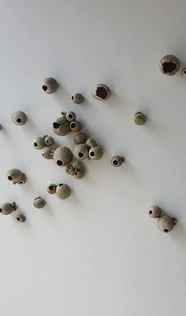 Barnacle Series - Clay